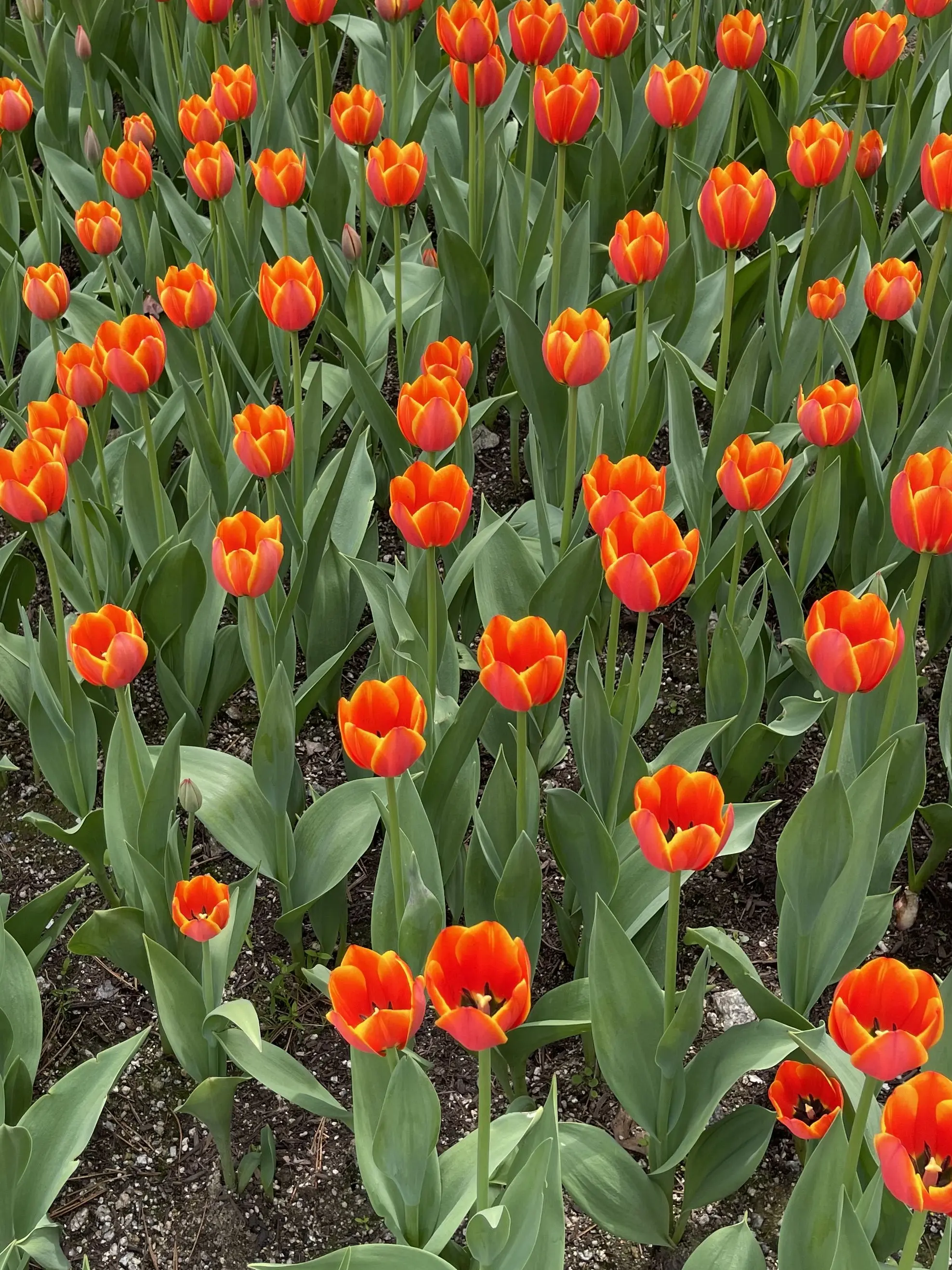 LowSpray6144의 앞 좀 보고 다..녀?