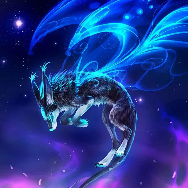 黒狐