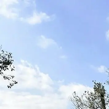 Profile image of 後輩達