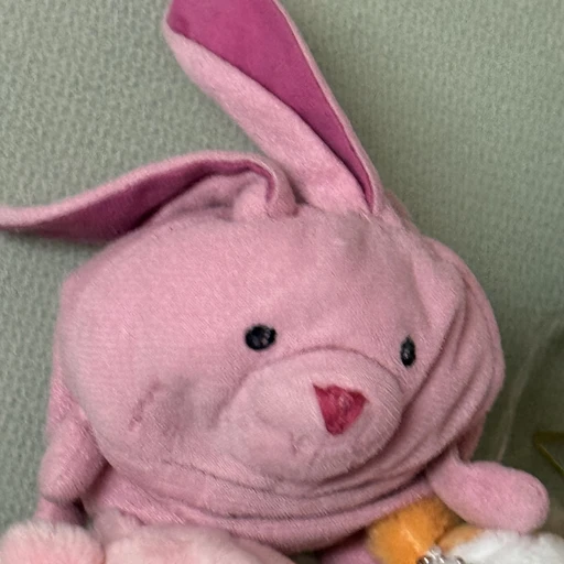 뚱인데요