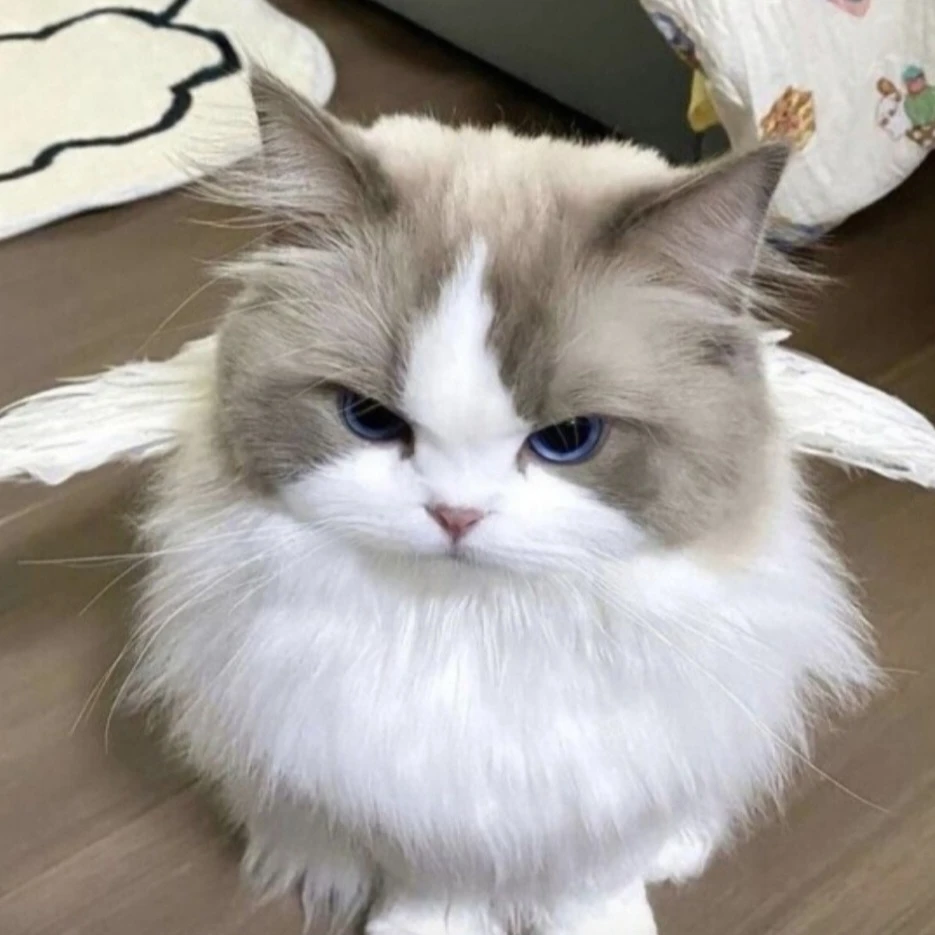 깽냥