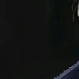 ZNAS의 유지민