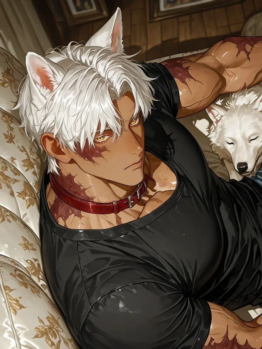 Syaoran._.v의 人間嫌いツンツン獣人買った