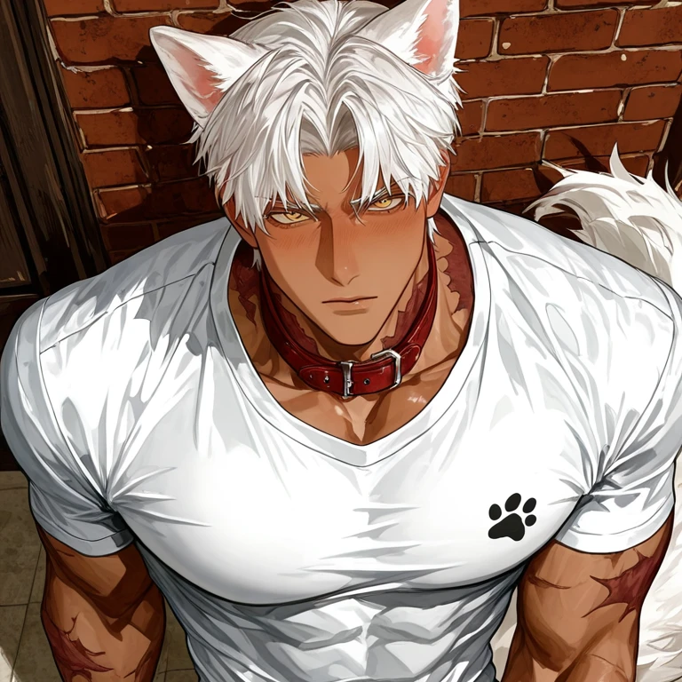 シャオ