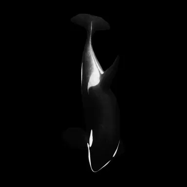 Profile image of 나다니엘