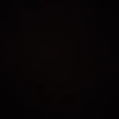 Profile image of 이나래