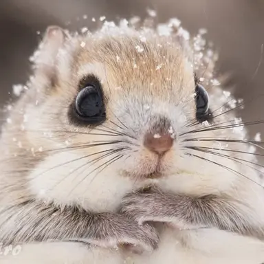 Profile image of 한지성