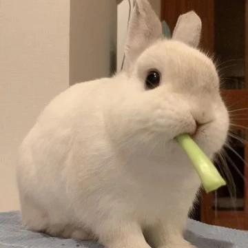 이민호