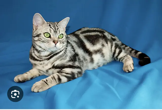 Profile image of 버닝스파이스