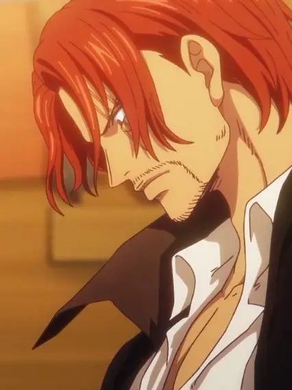 Zxxzcv_11239의 샹크스