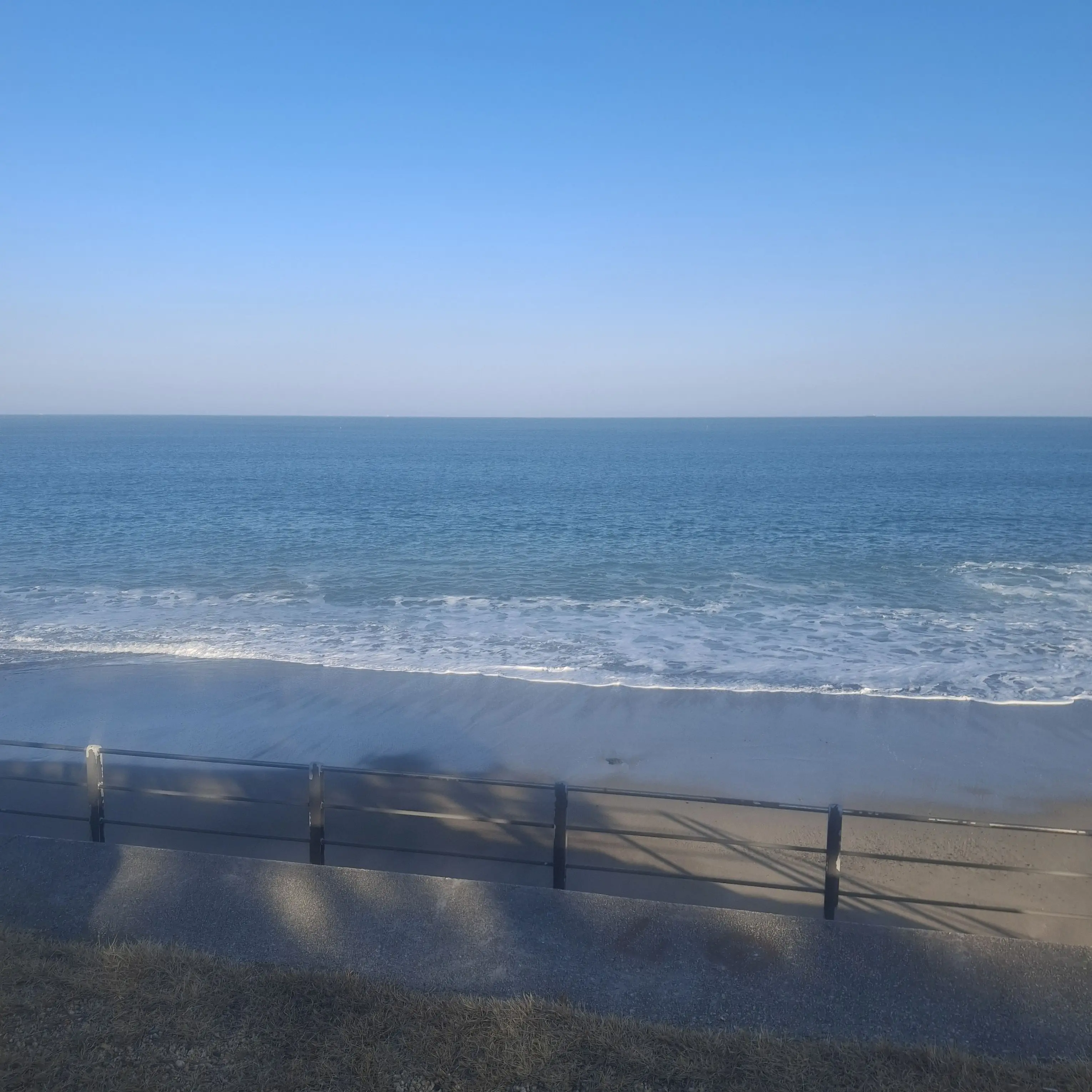 SilverFox5112의 Nahia