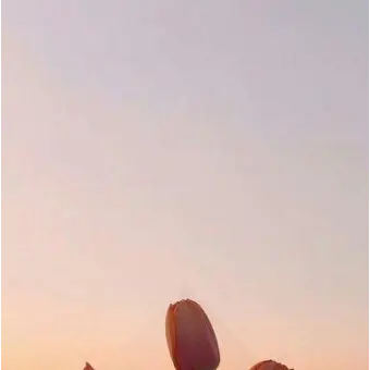 Profile image of 제작자