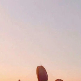 제작자