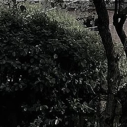 김준구
