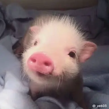 Profile image of 이여돼