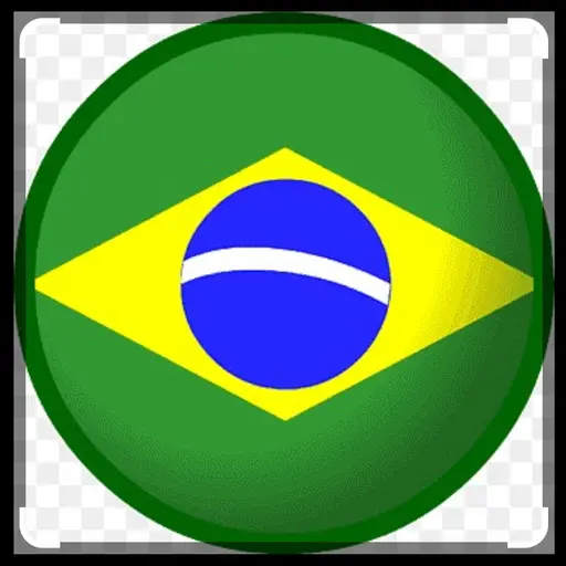 EvenBison9586의 브라질