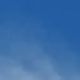 Profile image of 벨키