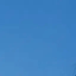 Profile image of 준브레드