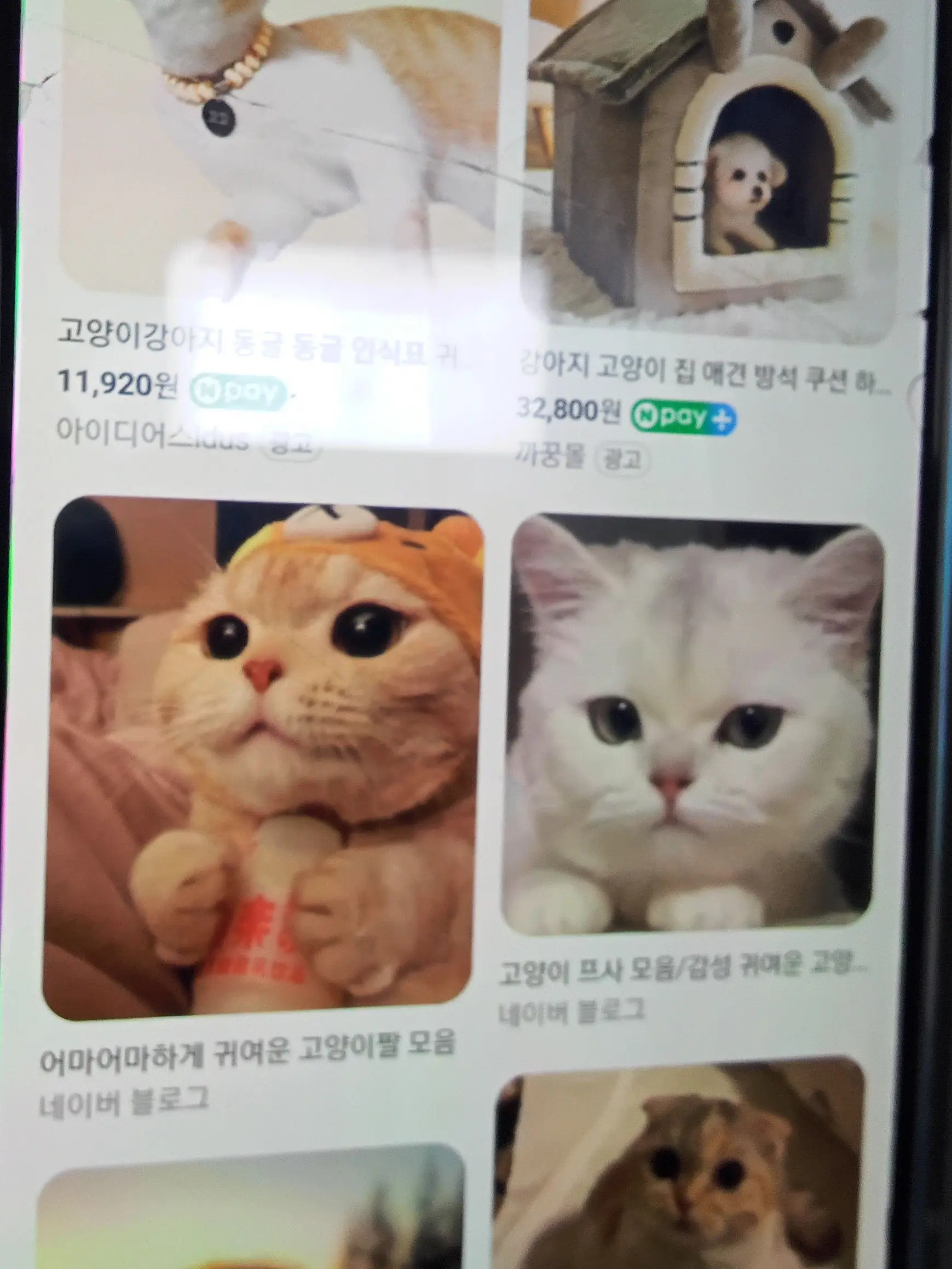 CrispSlide1632의 잼이tv의맵버하루!