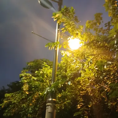 Profile image of 공룡