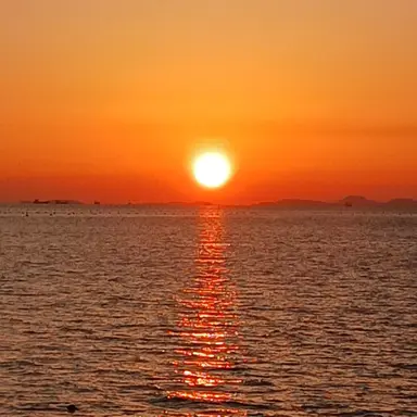 Profile image of 라더