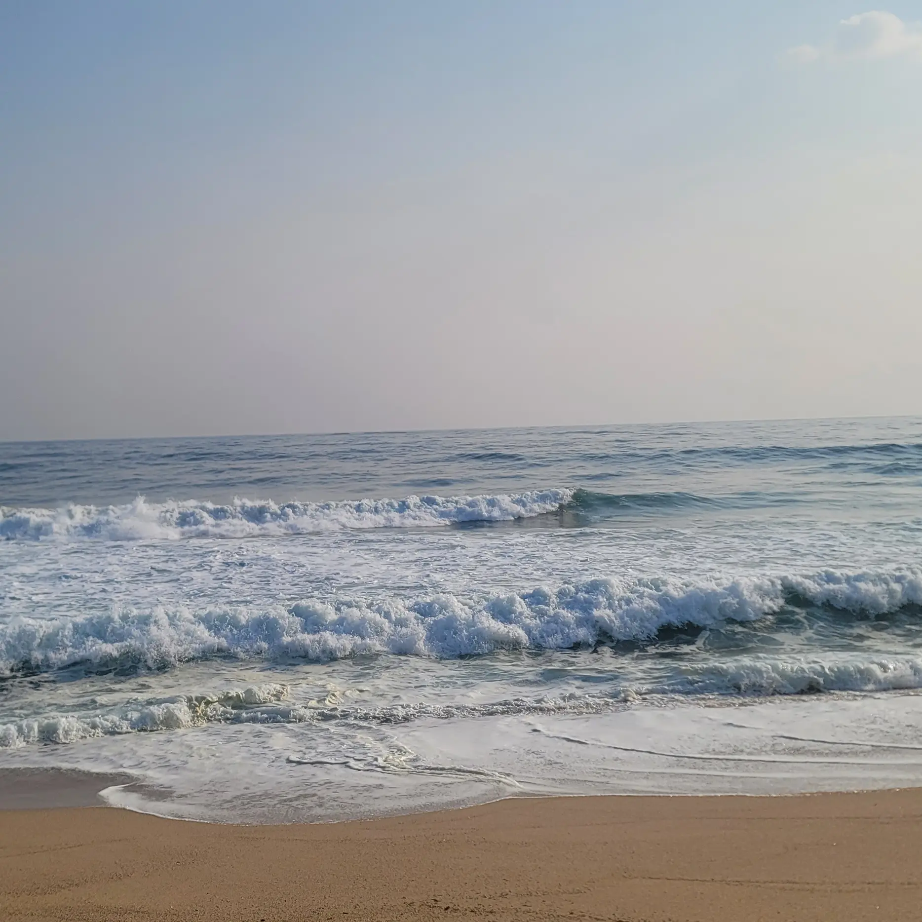 QuickQuilt5431의 누명