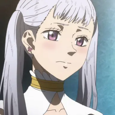 Profile image of ノエル