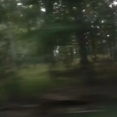 Profile image of 원희