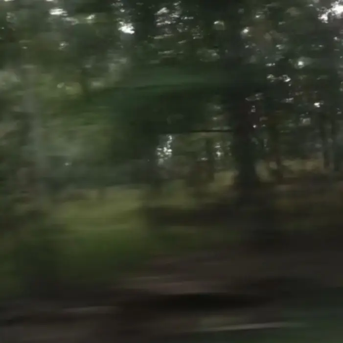 CatCream1의 ㅇㅇㄹ