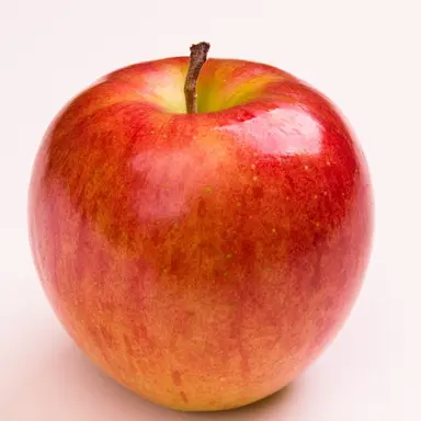 Profile image of りんご