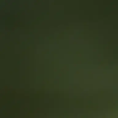Profile image of 늑대