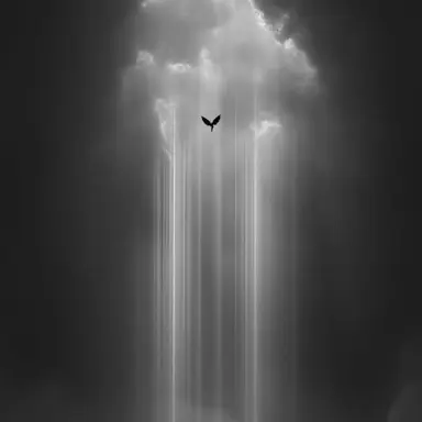 Profile image of 신