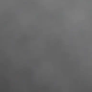 Profile image of 커플무리