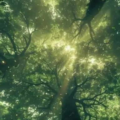 Profile image of 정형준