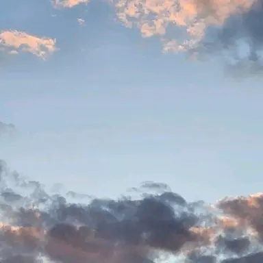 Profile image of 수한