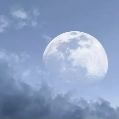 Profile image of 평학