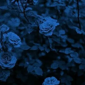 Lookism-shark의 나만의 여우..?