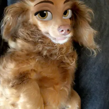 Profile image of チョコ
