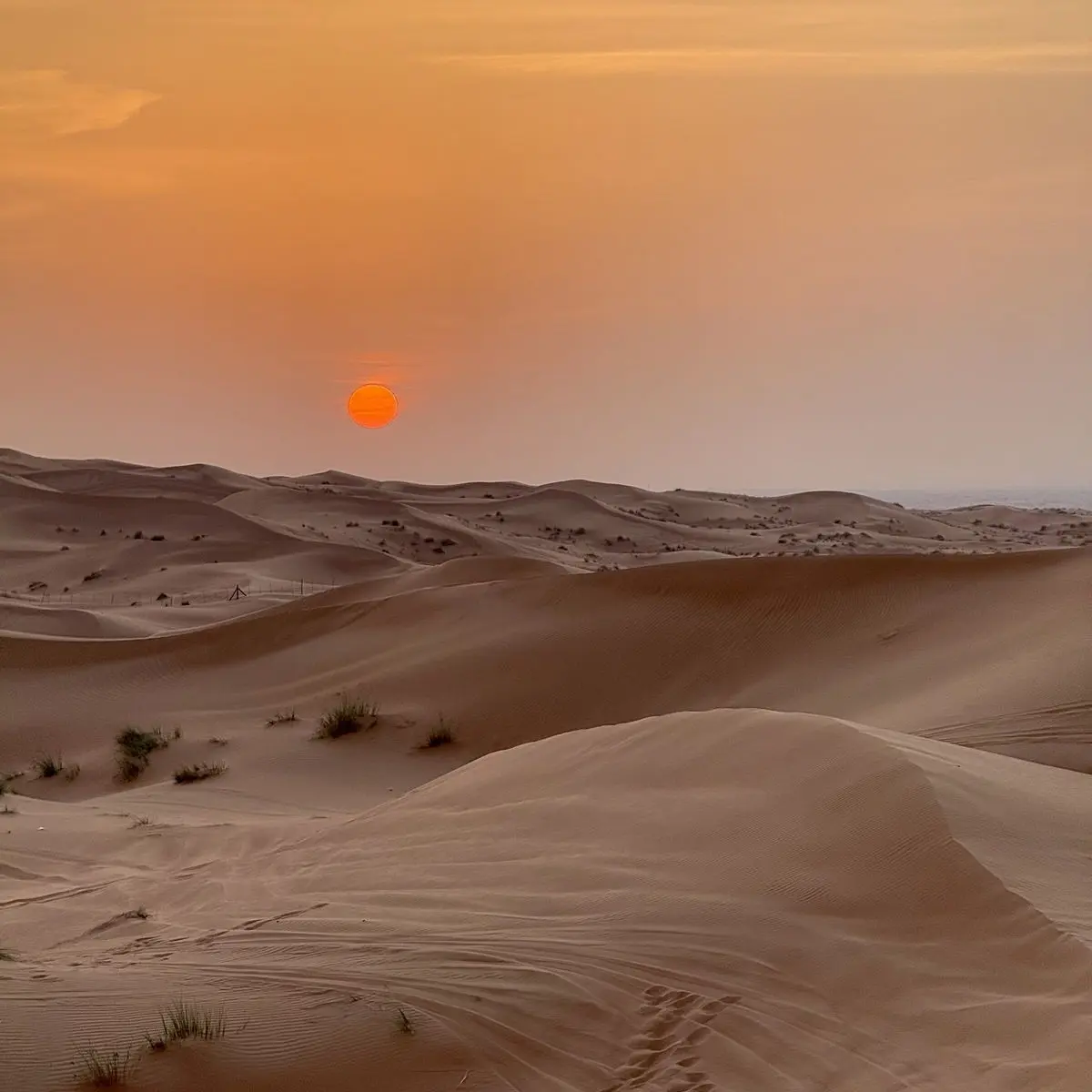 Skskskakak의 desert