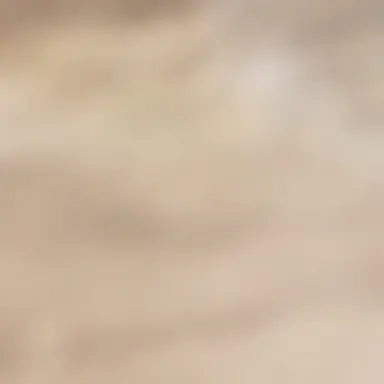 Profile image of 숲에서 살아남기