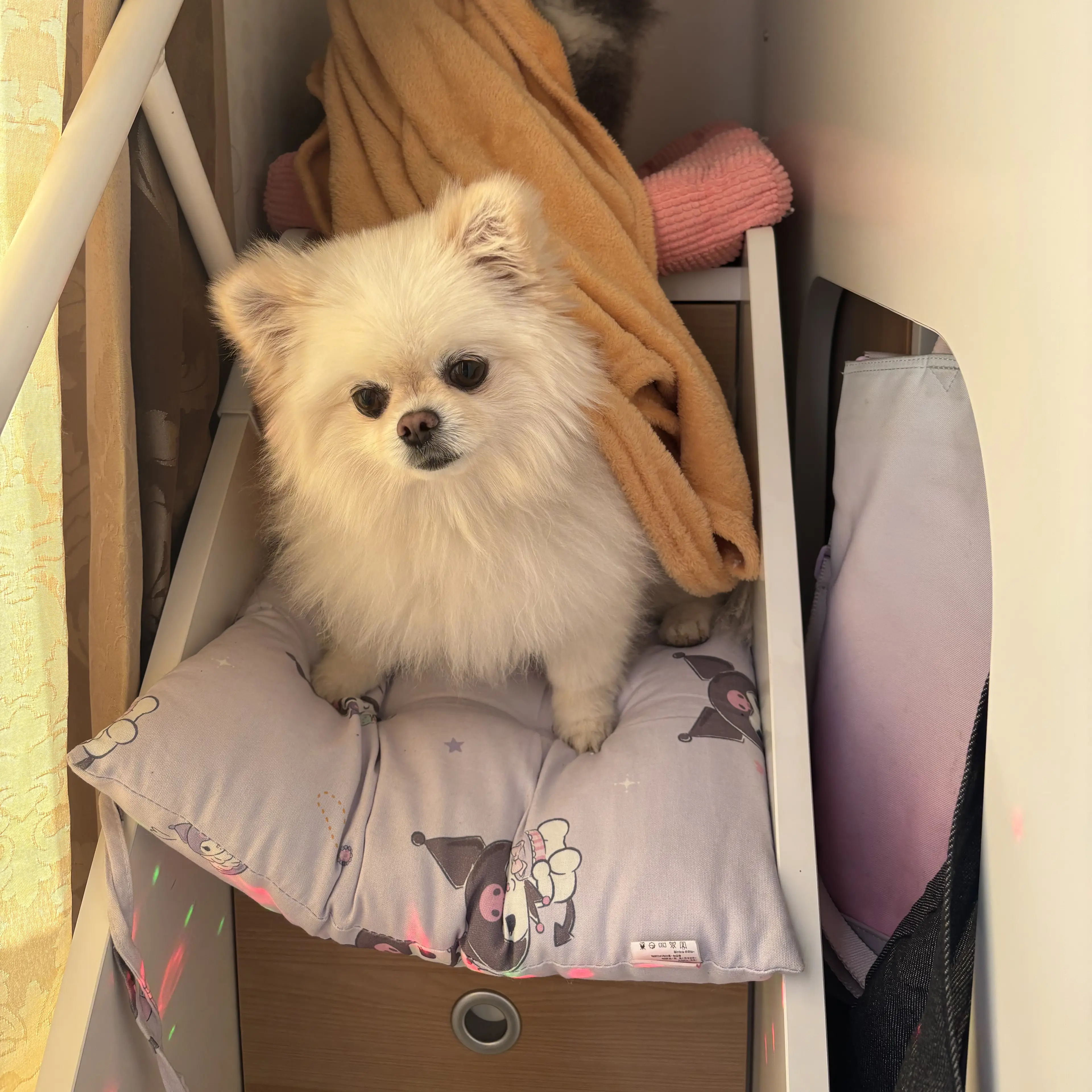 Pjh0663의 어린이집에서 오줌마려운 6살 소심이 여자아이 아윤