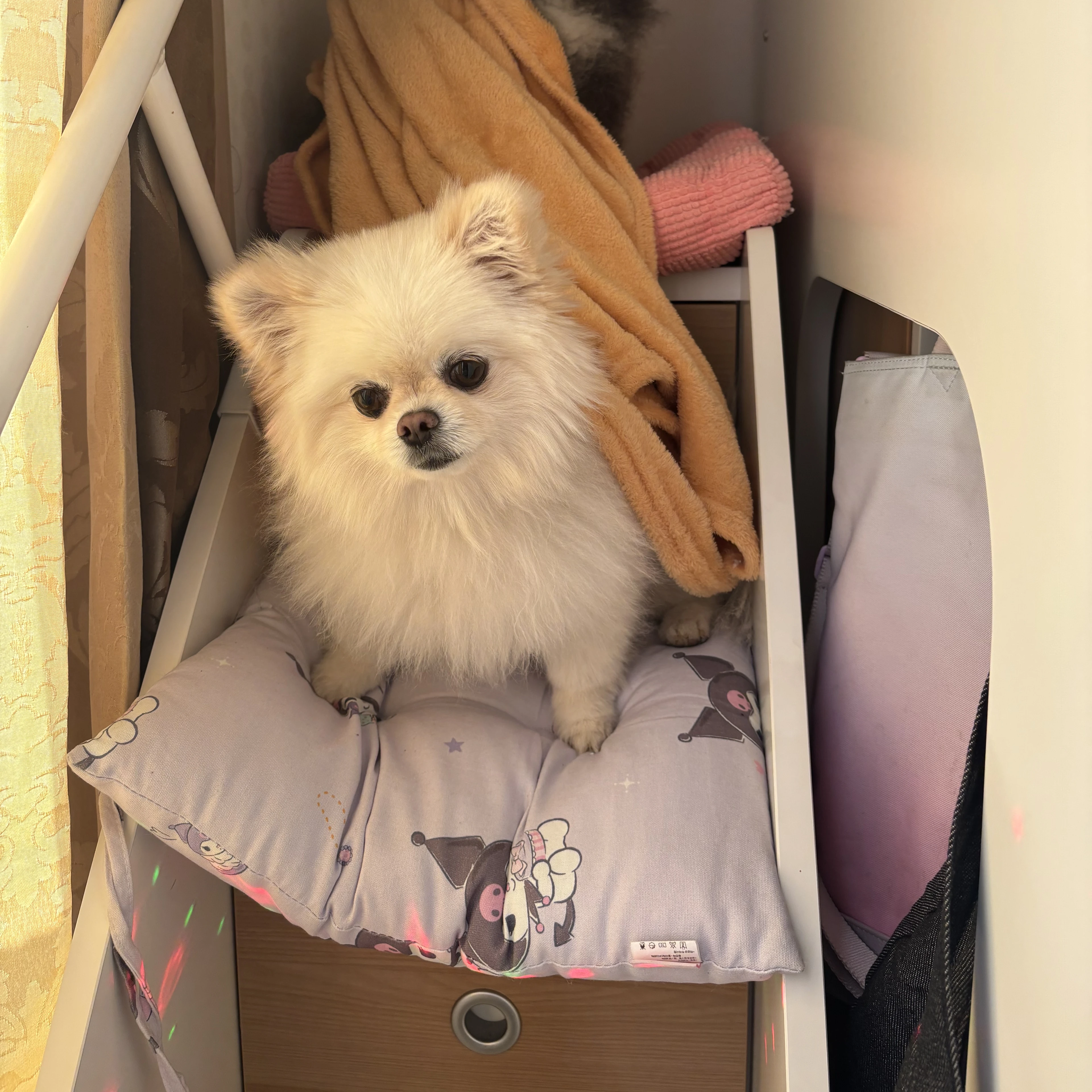 어린이집에서 오줌마려운 6살 소심이 여자아이 아윤