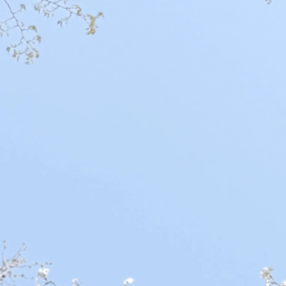 긴믽구
