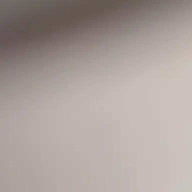 Profile image of 김여우