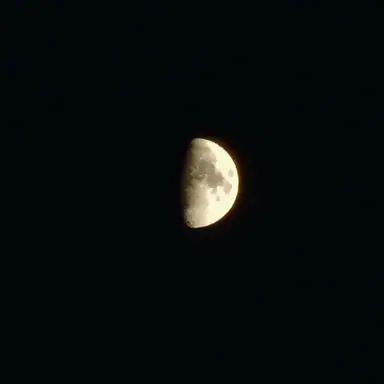 Profile image of 아트풀