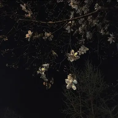 Profile image of 정 공룡