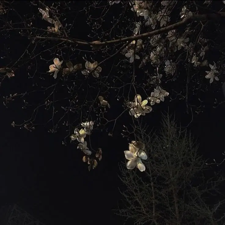 Dam_wol의 정 공룡