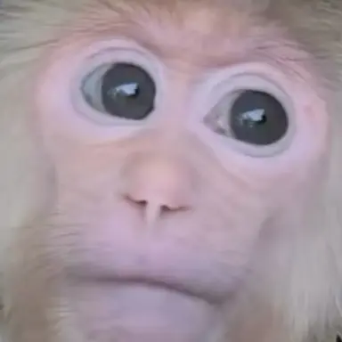 Profile image of 김철수