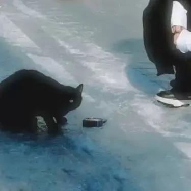 Profile image of medrk