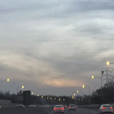 Profile image of 시나즈가와 사네미